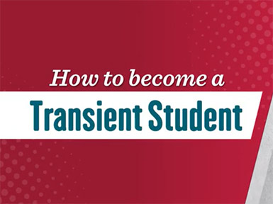 How to Become a Transient Student
