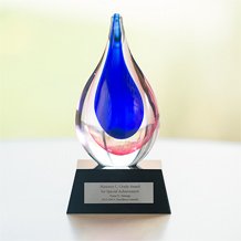 Maureen C. Grady Award