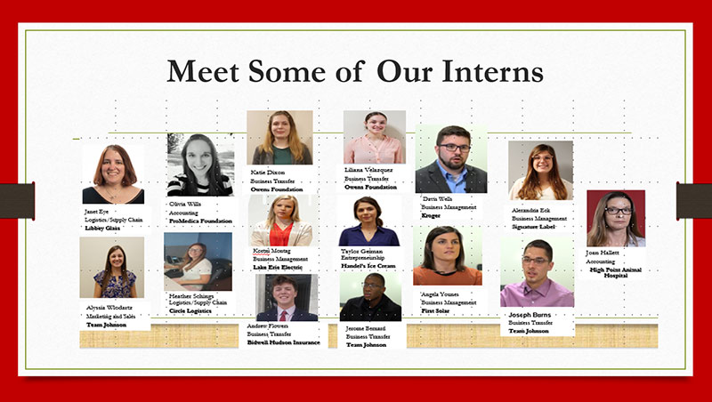 Meet some of our Interns