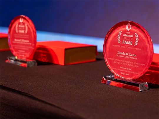Hall of Fame Awards on Table